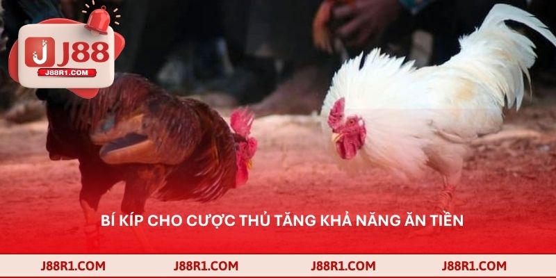 Bí kíp cho cược thủ tăng khả năng ăn tiền