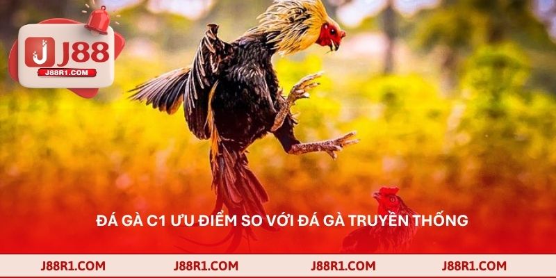 Đá gà C1 ưu điểm so với đá gà truyền thống