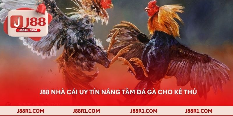 J88 nhà cái uy tín nâng tầm đá gà cho kê thủ