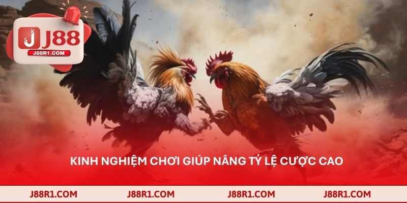 Kinh nghiệm chơi giúp nâng tỷ lệ cược cao